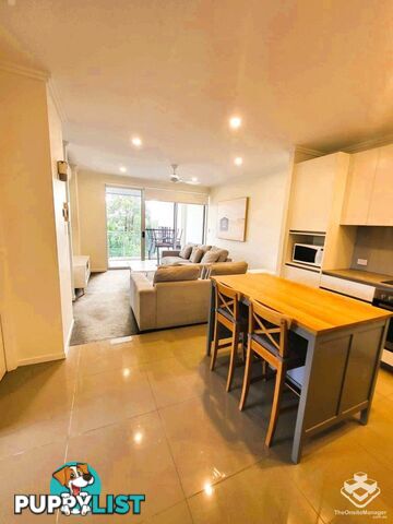 Robina QLD 4226