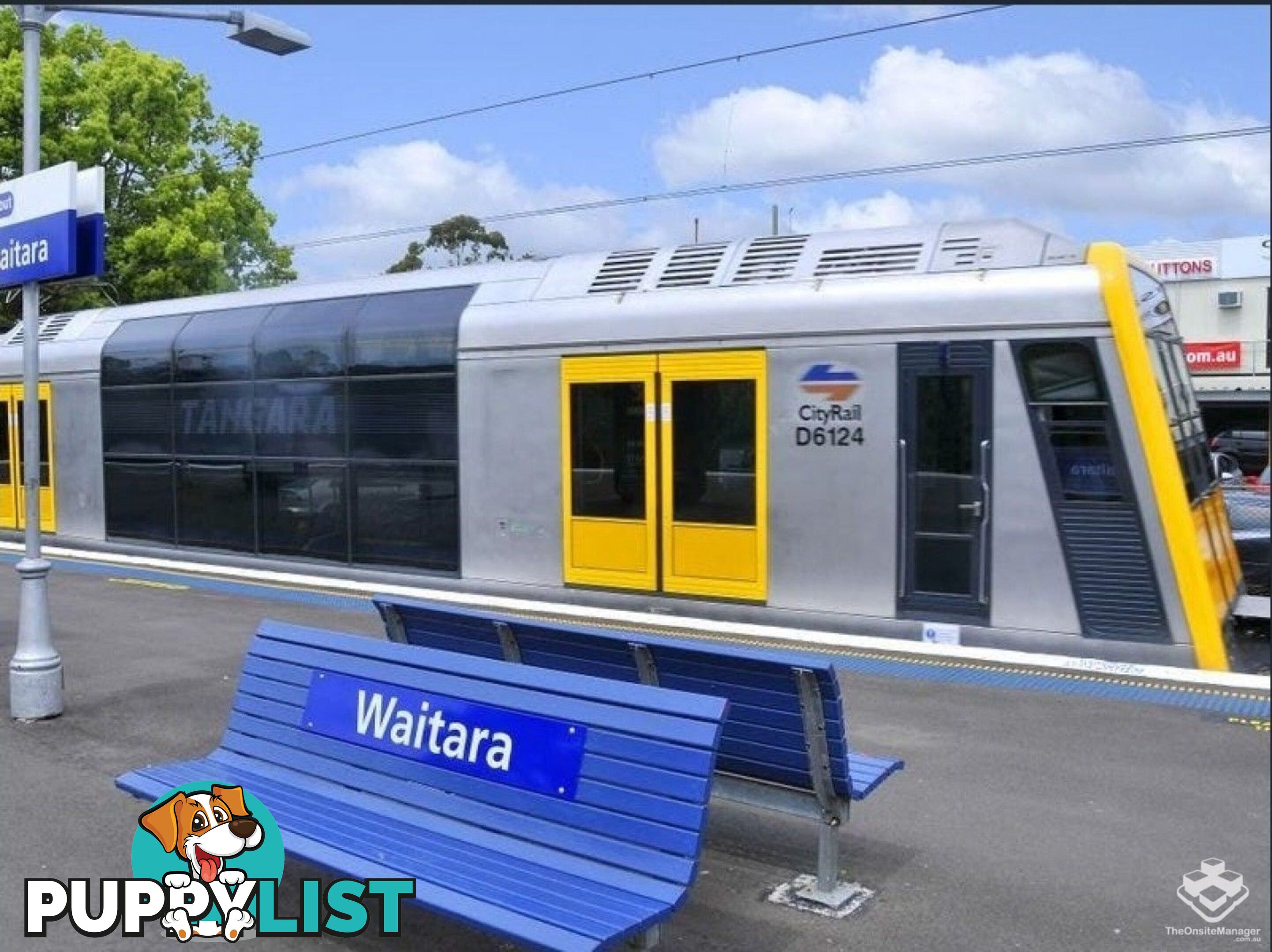 183/19-25 Leonard St Waitara NSW 2077