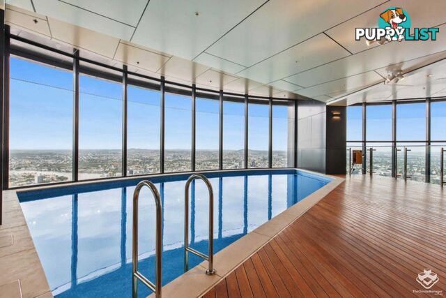 ID:21155851 222MargaretSt,BrisbaneCityQLD4000 Margaret St Brisbane City QLD 4000