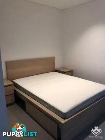ID:21155851 222MargaretSt,BrisbaneCityQLD4000 Margaret St Brisbane City QLD 4000