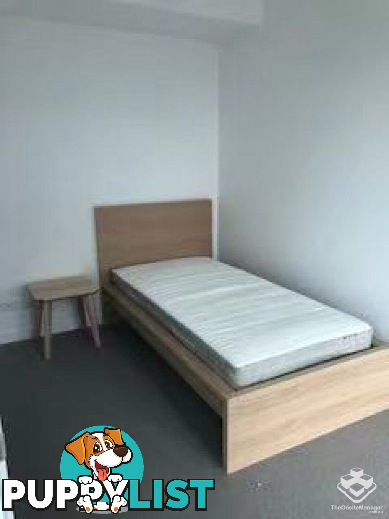 ID:21155851 222MargaretSt,BrisbaneCityQLD4000 Margaret St Brisbane City QLD 4000