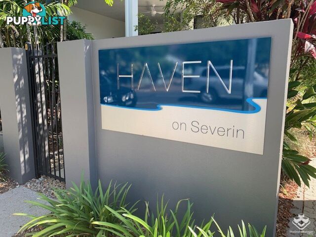 ID:21145522/376 Severin Street Parramatta Park QLD 4870