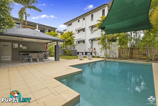 ID:21145522/376 Severin Street Parramatta Park QLD 4870