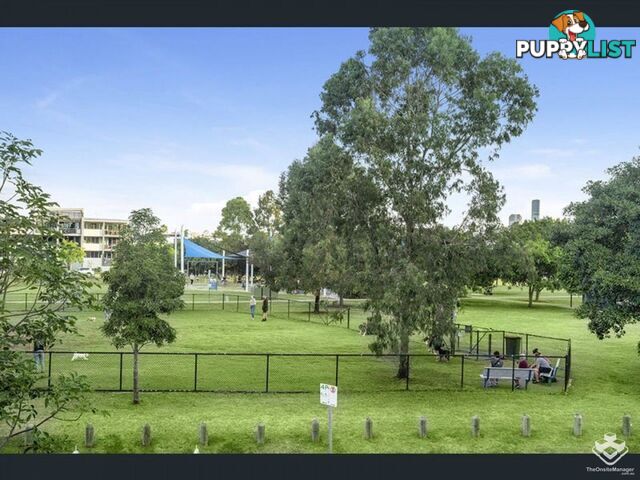 ID:21157104 48 Addison Avenue Bulimba QLD 4171