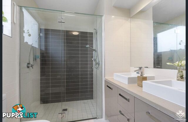 ID:21157104 48 Addison Avenue Bulimba QLD 4171