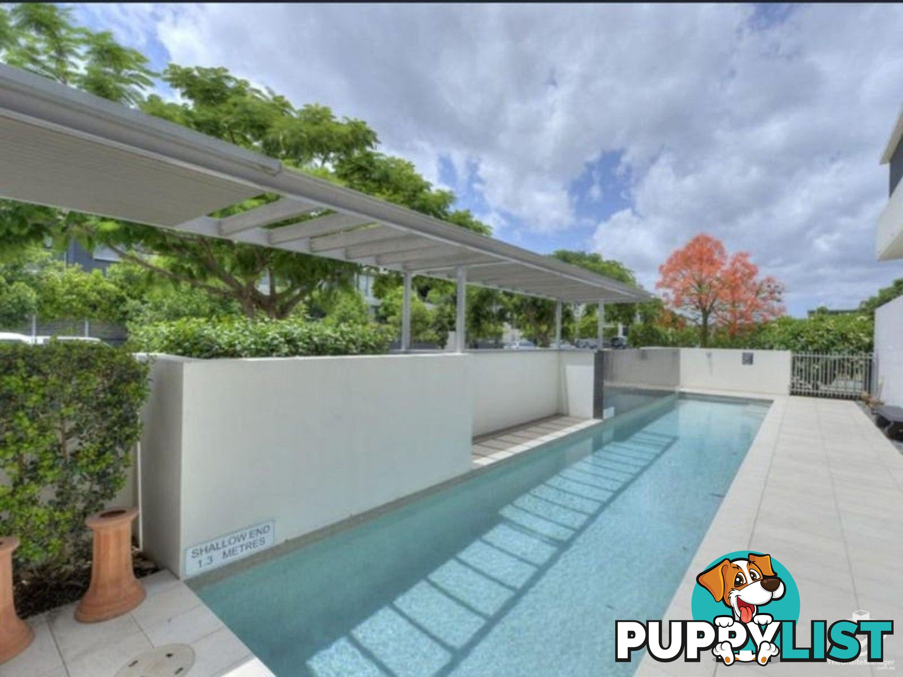 ID:21157104 48 Addison Avenue Bulimba QLD 4171