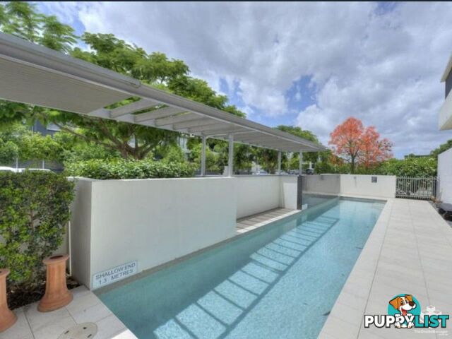 ID:21157104 48 Addison Avenue Bulimba QLD 4171