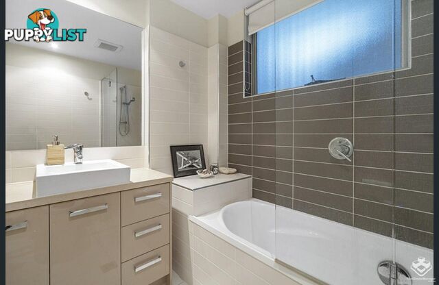 ID:21157104 48 Addison Avenue Bulimba QLD 4171