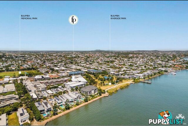 ID:21157104 48 Addison Avenue Bulimba QLD 4171