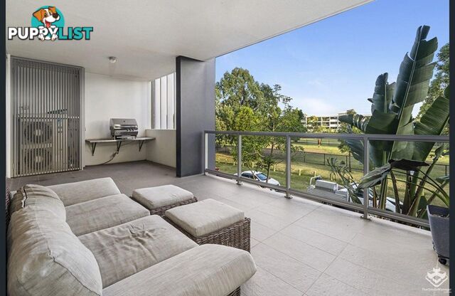 ID:21157104 48 Addison Avenue Bulimba QLD 4171