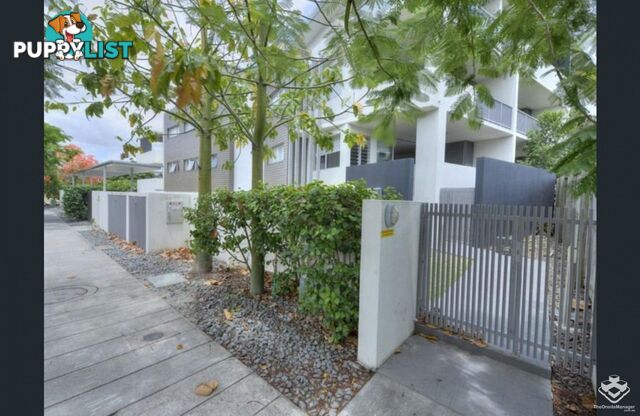 ID:21157104 48 Addison Avenue Bulimba QLD 4171