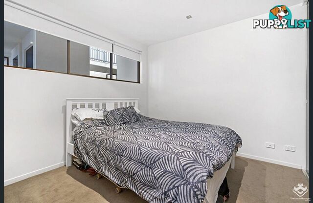 ID:21157104 48 Addison Avenue Bulimba QLD 4171