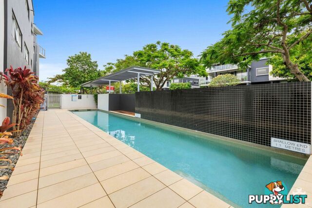ID:21157104 48 Addison Avenue Bulimba QLD 4171