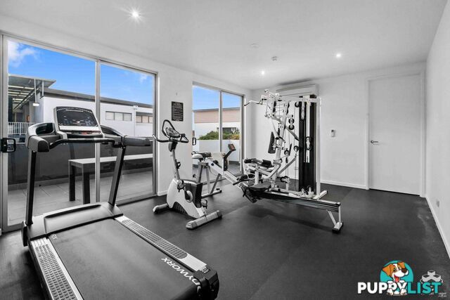 ID:21157104 48 Addison Avenue Bulimba QLD 4171