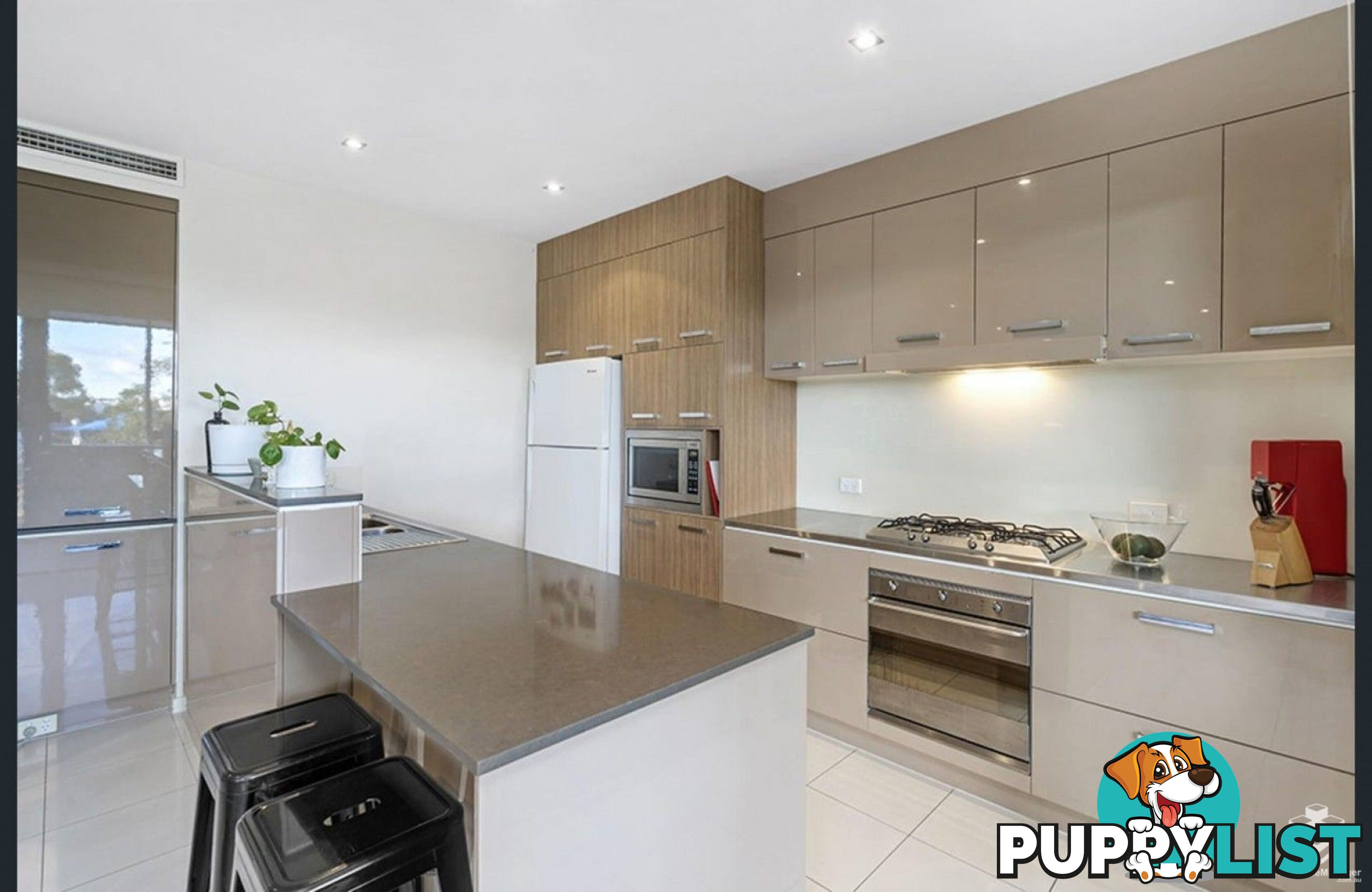 ID:21157104 48 Addison Avenue Bulimba QLD 4171