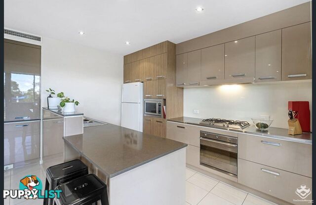 ID:21157104 48 Addison Avenue Bulimba QLD 4171