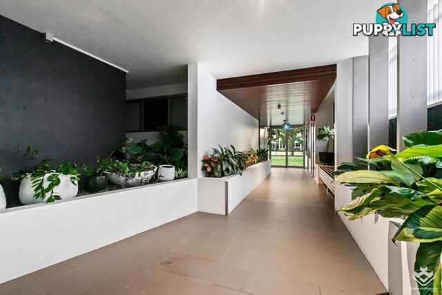 ID:21157104 48 Addison Avenue Bulimba QLD 4171