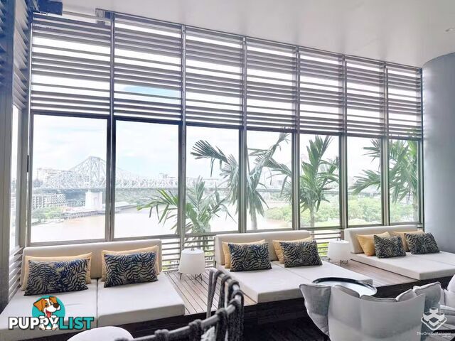 ID:21148437 443 Queen Street Brisbane City QLD 4000