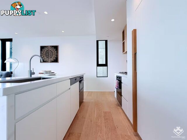ID:21148437 443 Queen Street Brisbane City QLD 4000