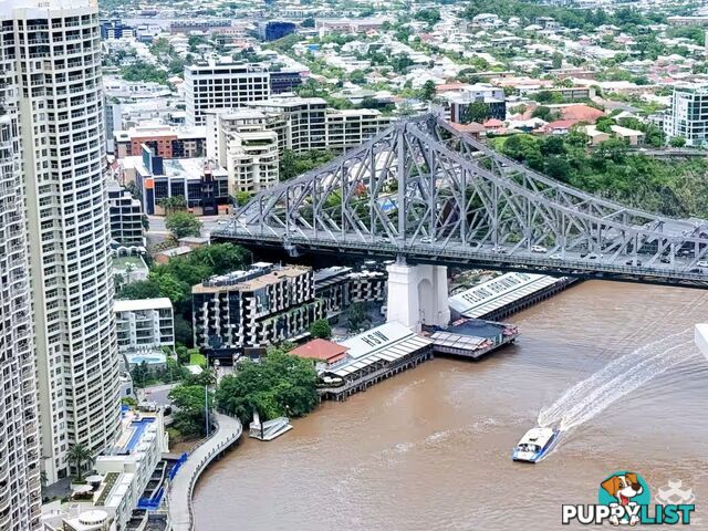 ID:21148437 443 Queen Street Brisbane City QLD 4000