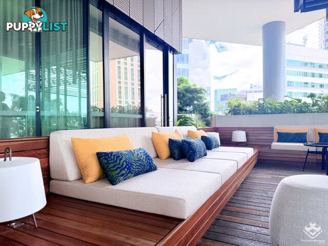 ID:21148437 443 Queen Street Brisbane City QLD 4000