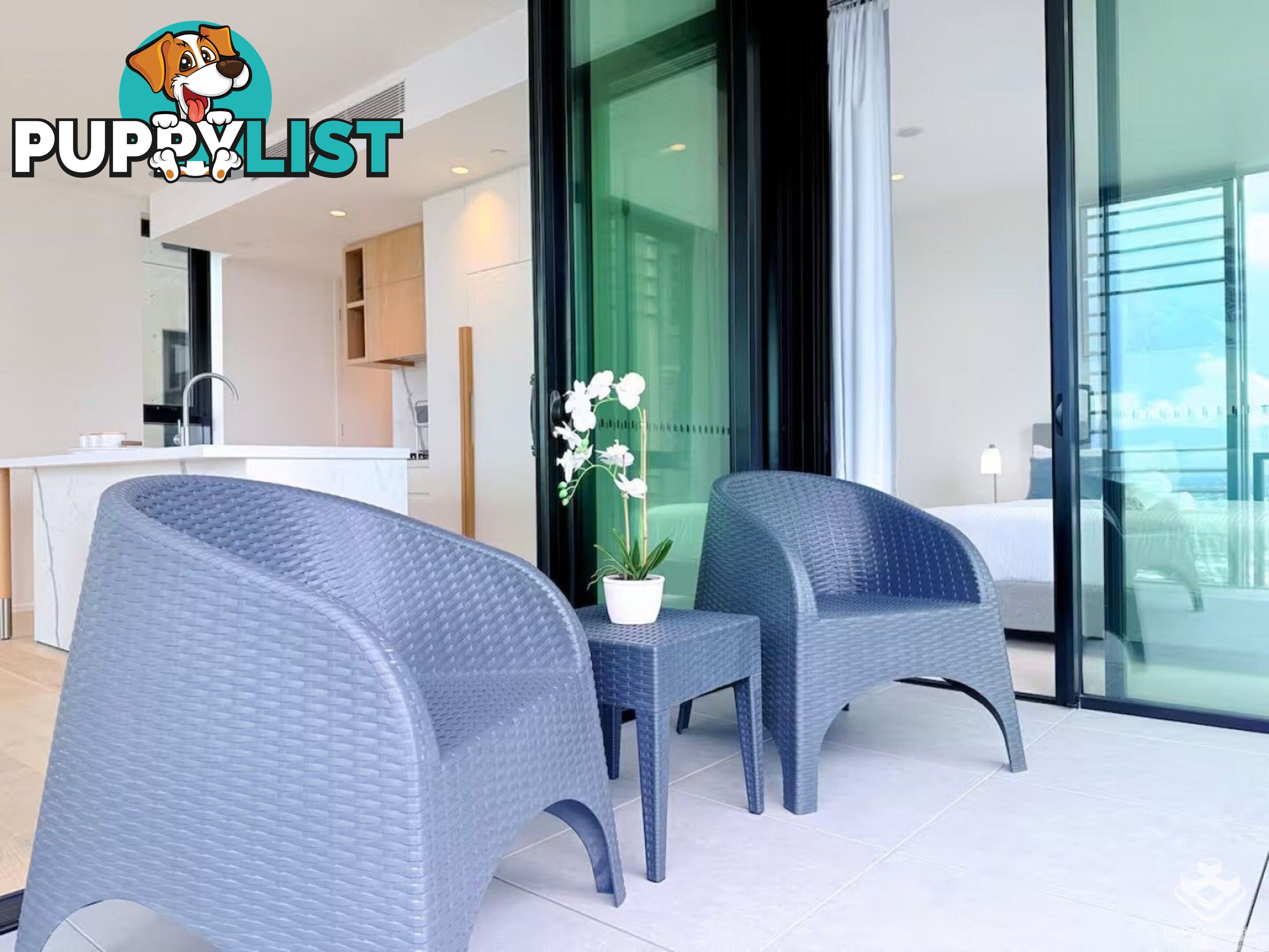 ID:21148437 443 Queen Street Brisbane City QLD 4000