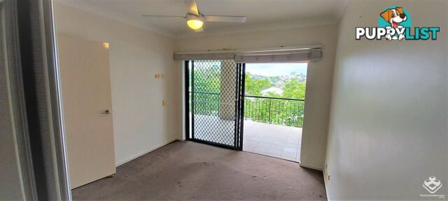ID:21153277 68-70 Norman Crescent Norman Park QLD 4170