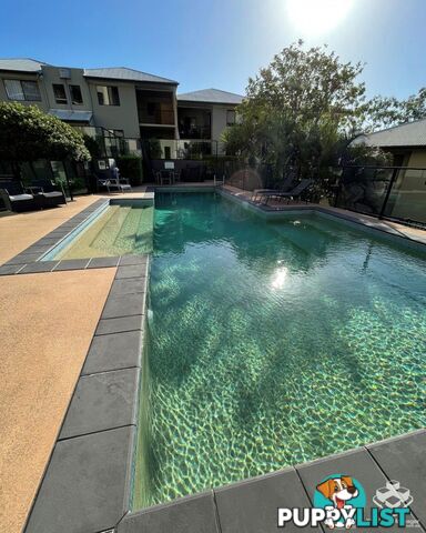 ID:21153277 68-70 Norman Crescent Norman Park QLD 4170
