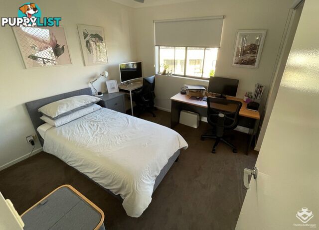 ID:21153277 68-70 Norman Crescent Norman Park QLD 4170