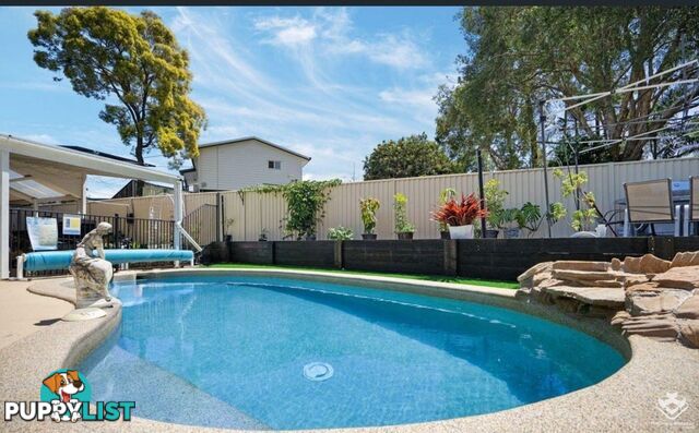 11 Bonhill Court Hillcrest QLD 4118