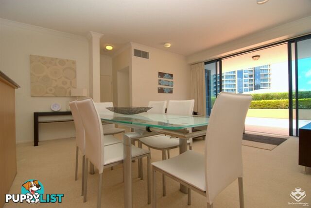 ID:21137205 45 Deakin Street Kangaroo Point QLD 4169