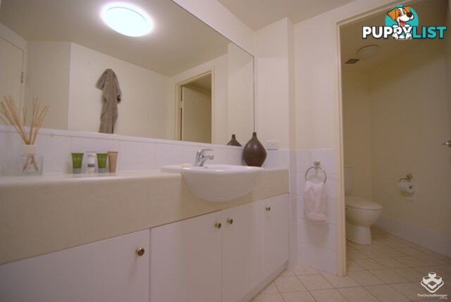 ID:21137205 45 Deakin Street Kangaroo Point QLD 4169