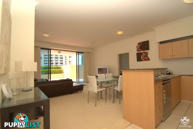 ID:21137205 45 Deakin Street Kangaroo Point QLD 4169