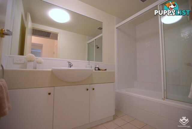 ID:21137205 45 Deakin Street Kangaroo Point QLD 4169