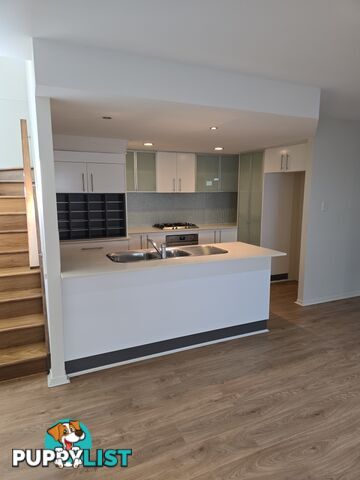 ID:21158490 1BOULTONDR Boulton Drive NERANG QLD 4211