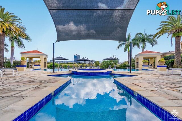 ID:21152988 3 Robina Town Centre Drive Robina QLD 4226