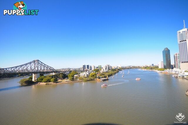 11B/35 Howard Street Brisbane City QLD 4000