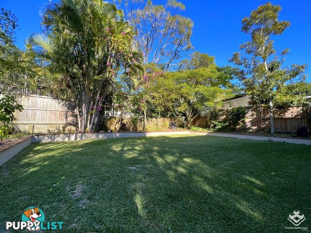 120 Payne Street Indooroopilly QLD 4068