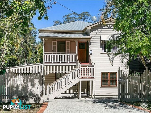 120 Payne Street Indooroopilly QLD 4068