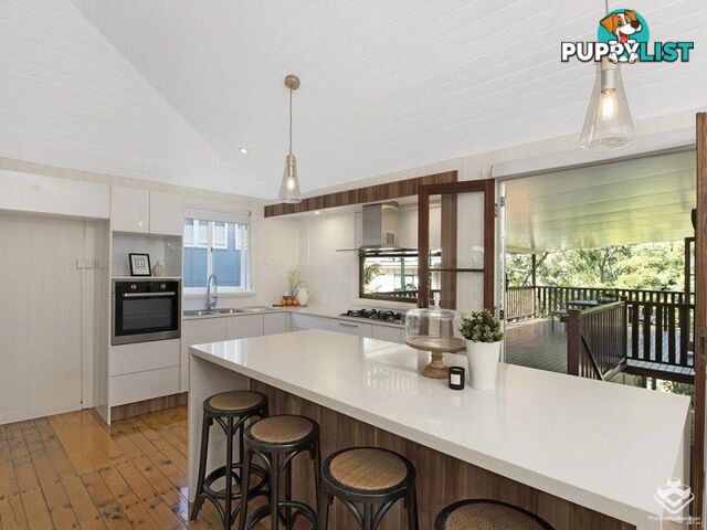 6 Rankin Street Indooroopilly QLD 4068