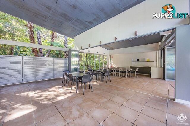ID:21149097 154 Musgrave Avenue Southport QLD 4215