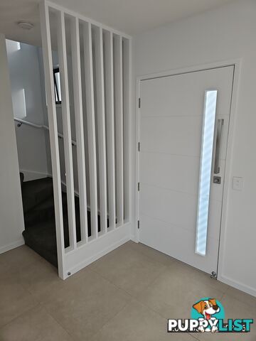 ID:21149097 154 Musgrave Avenue Southport QLD 4215