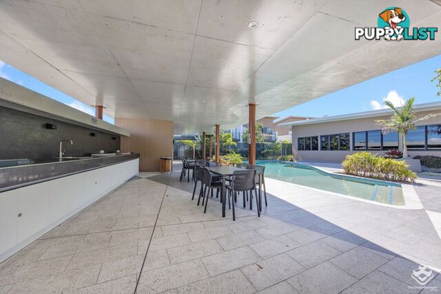 ID:21149097 154 Musgrave Avenue Southport QLD 4215