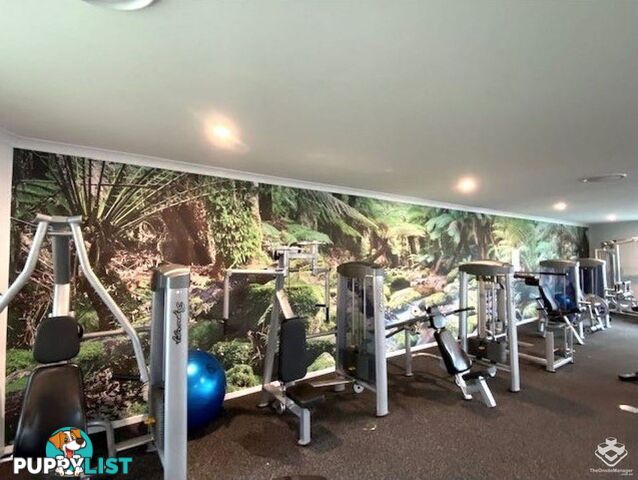 ID:21149097 154 Musgrave Avenue Southport QLD 4215