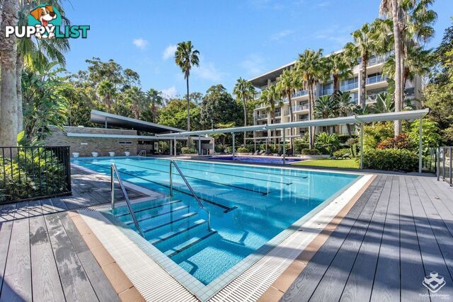 ID:21149097 154 Musgrave Avenue Southport QLD 4215