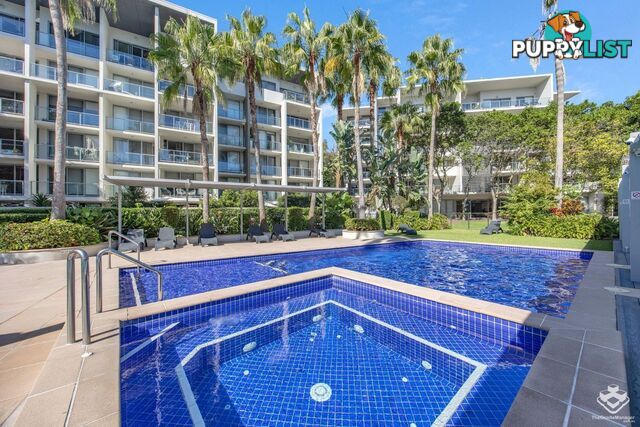 ID:21149097 154 Musgrave Avenue Southport QLD 4215