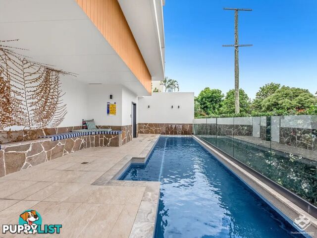 ID:21140328 266 Stanhill Drive Surfers Paradise QLD 4217