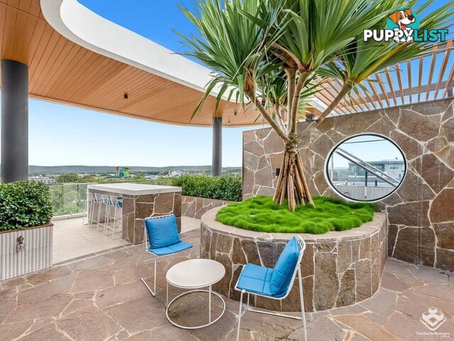ID:21140328 266 Stanhill Drive Surfers Paradise QLD 4217