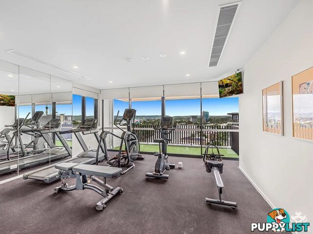 ID:21140328 266 Stanhill Drive Surfers Paradise QLD 4217