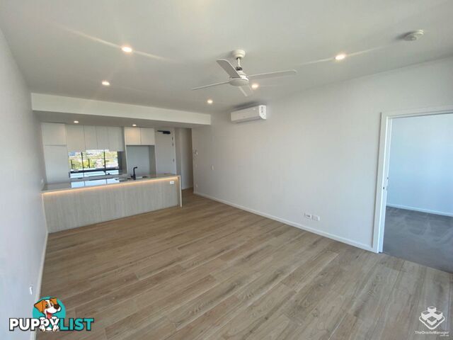 ID:21140328/256 Stanhill Drive Surfers Paradise QLD 4217